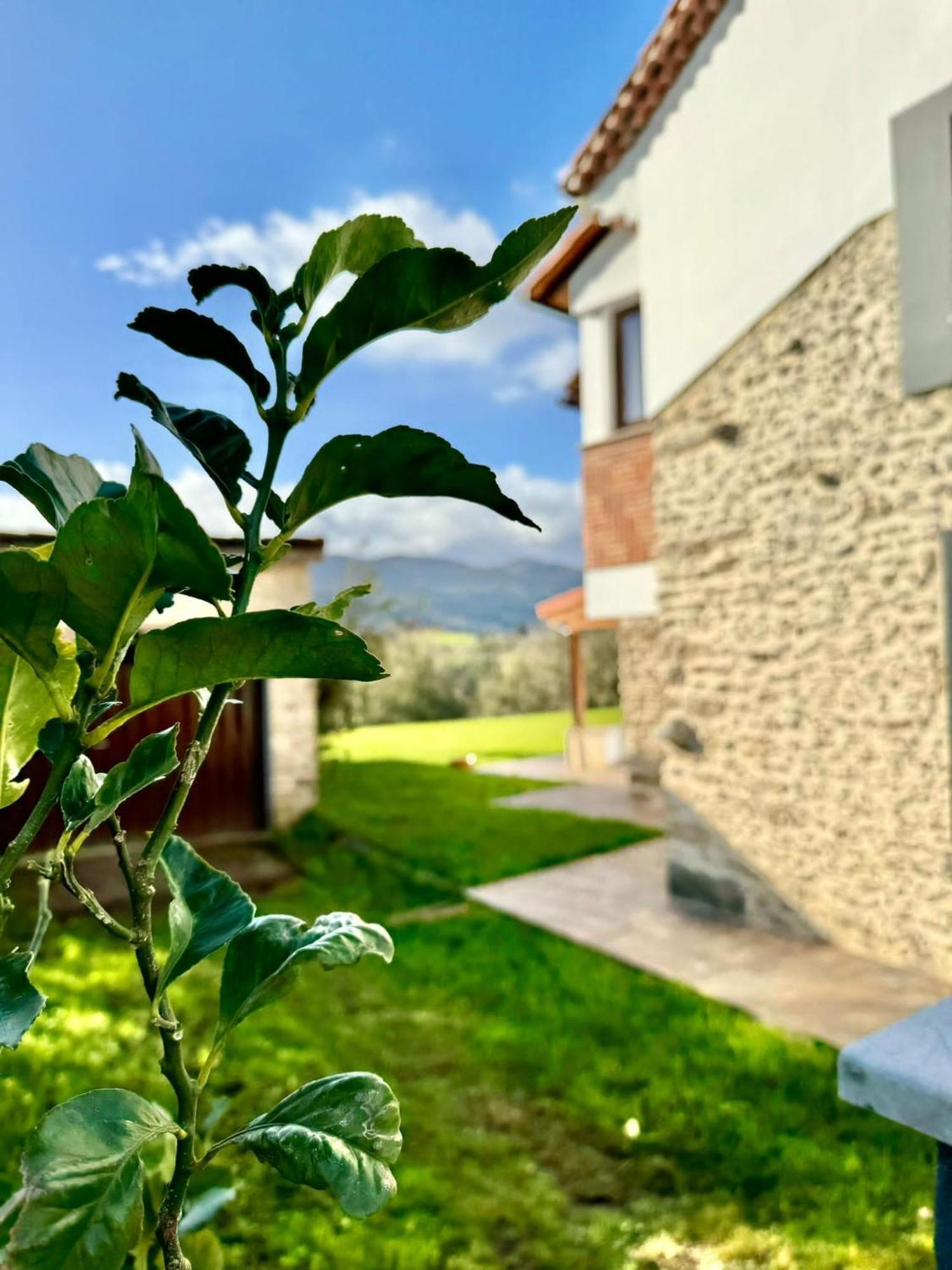 Terradeva Apartamentos Коломбрес Екстериор снимка